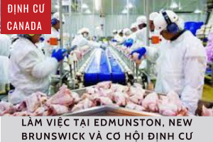 ĐỊNH CƯ CANADA: LÀM VIỆC LÀM TẠI EDMUNSTON, NEW BRUNSWICK