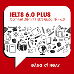 IELTS 6.0 PLUS